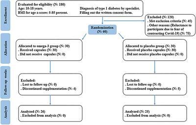 Effects of <mark class="highlighted">omega-3 supplementation</mark> on endothelial function, vascular structure, and metabolic parameters in adolescents with type 1 diabetes mellitus: A randomized clinical trial